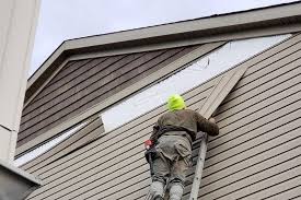 Best Vinyl Siding Installation  in Toledo, IL